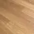 Blackbutt