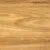 Blackbutt