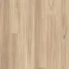 Mid-Coastal-Blackbutt