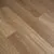 Spotted Gum