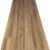 Spotted Gum