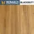 Blackbutt