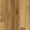 Feathertop-Spotted-Gum